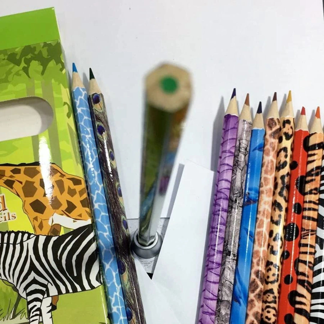 18 Colour Pencil Set