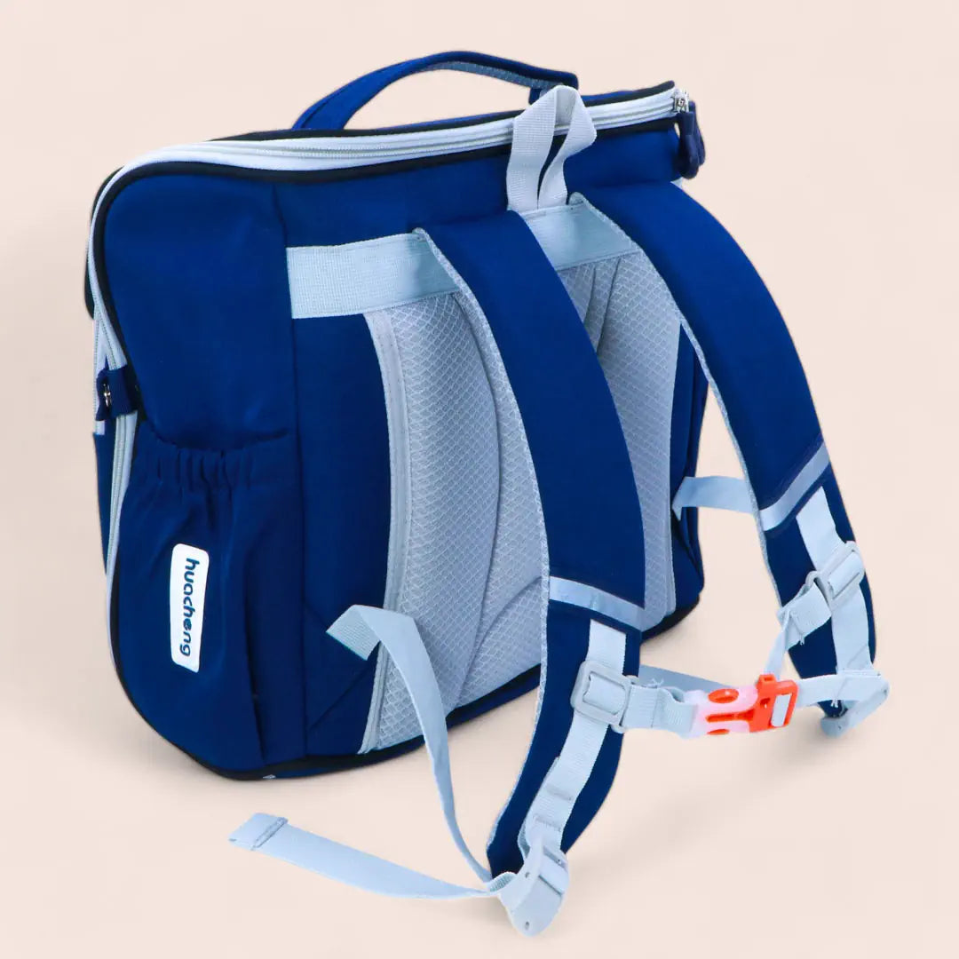 Dinosaur School Bag