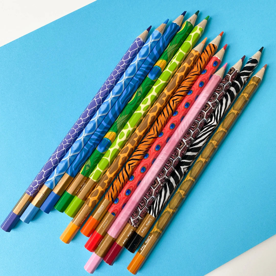 18 Colour Pencil Set